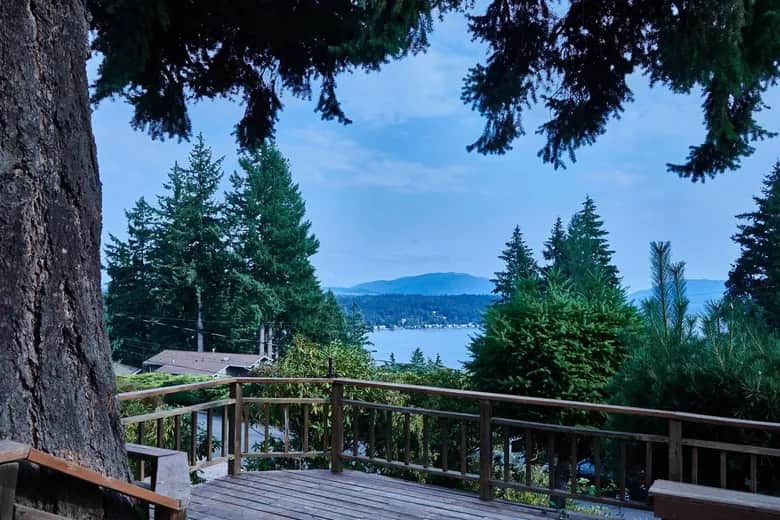 A wood deck and railing overlook trees and the lake. Bellevue, WA